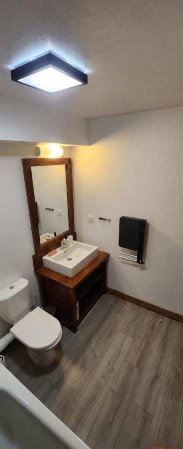 Le Cosy Saint Lary Soulan Appartement Eksteriør billede